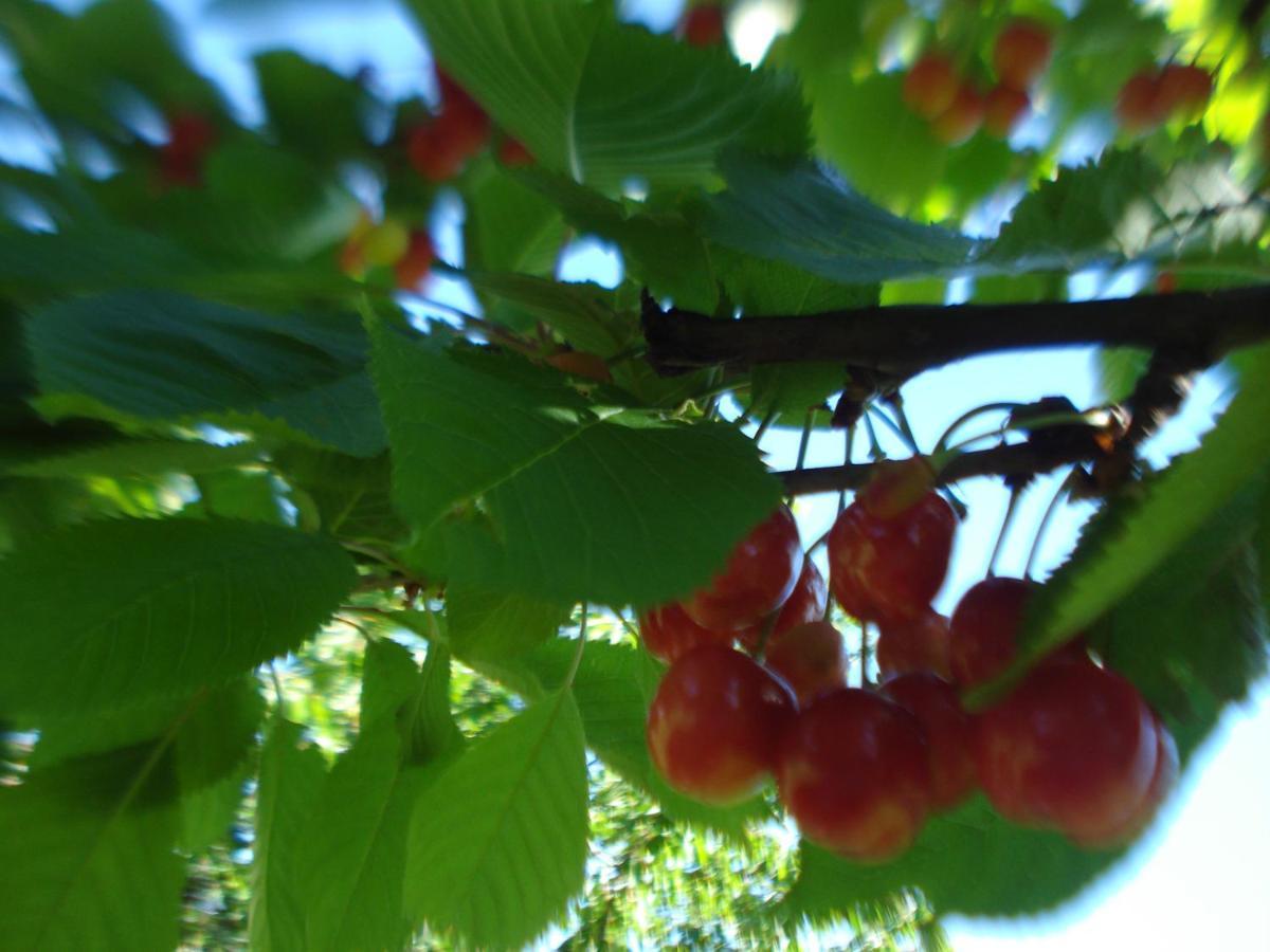 Casa T Bed And Breakfast & Home Restaurant Di Tacchino Simone Tagliolo Monferrato 외부 사진