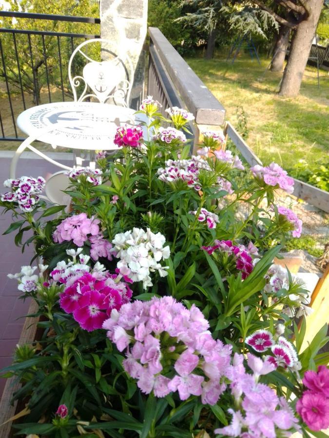 Casa T Bed And Breakfast & Home Restaurant Di Tacchino Simone Tagliolo Monferrato 외부 사진