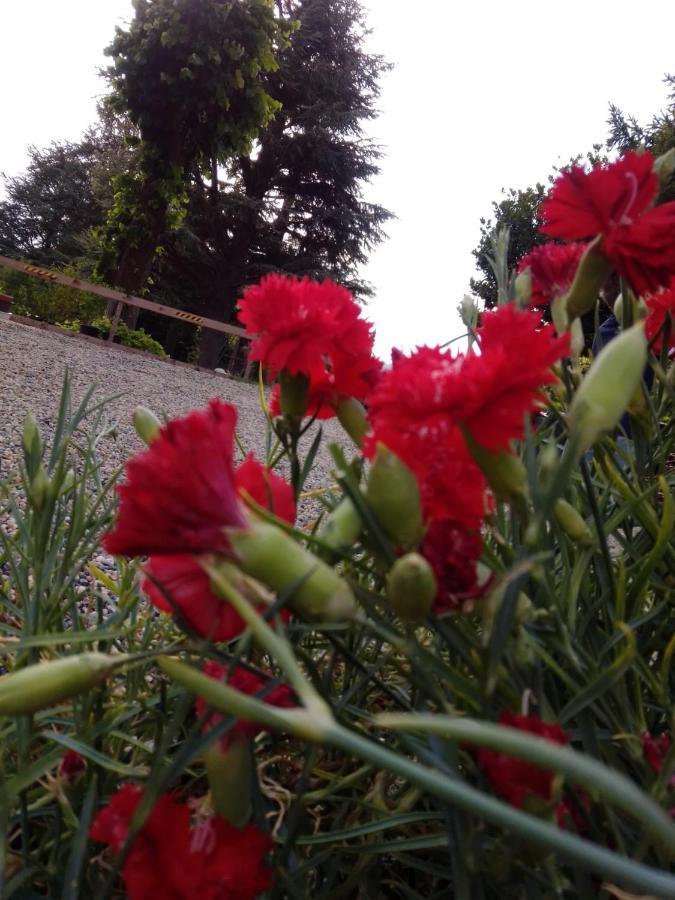 Casa T Bed And Breakfast & Home Restaurant Di Tacchino Simone Tagliolo Monferrato 외부 사진